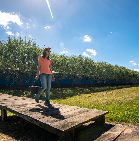 Reschke Silvia Isabel (27)